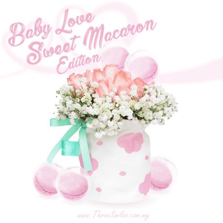 Baby Love Sweet Macaron Edition