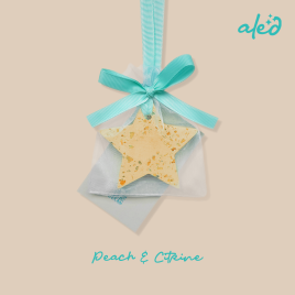 Peach & Citrine Charm
